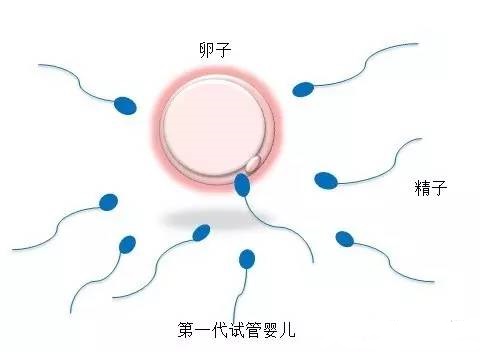 林教授